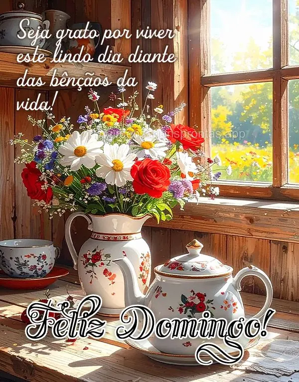 Seja grato por viver este lindo dia diante das bênçãos da vida! Feliz Domingo!
