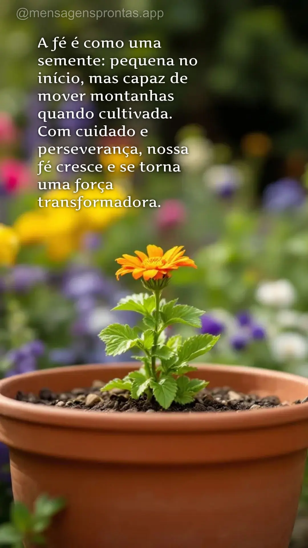 A fé é como uma semente: pequena no início, mas capaz de mover montanhas quando cultivada. Com cuidado e perseverança, nossa fé cresce e se torna um...