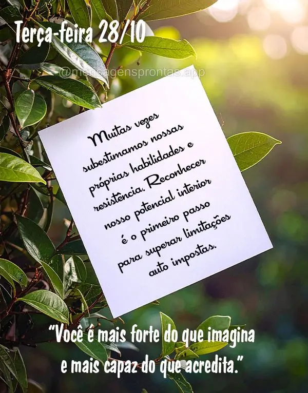 "Você é mais forte do que imagina e mais capaz do que acredita."
Muitas vezes subestimamos nossas próprias habilidades e resistência. Reconhecer nos...