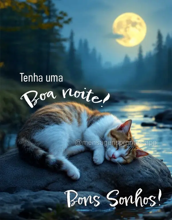 Tenha uma Boa noite! Bons Sonhos!
