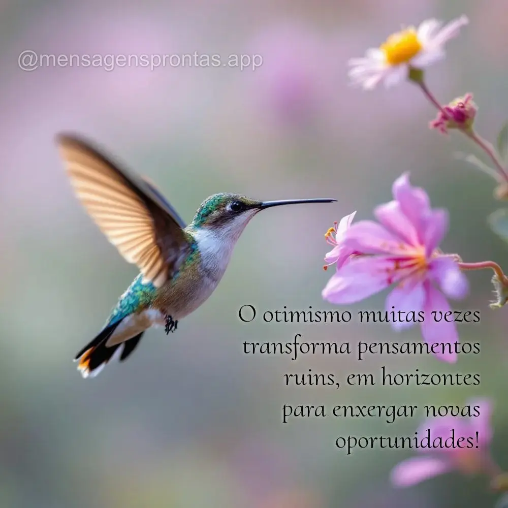 O otimismo muitas vezes transforma pensamentos ruins, em horizontes 
para enxergar novas oportunidades!