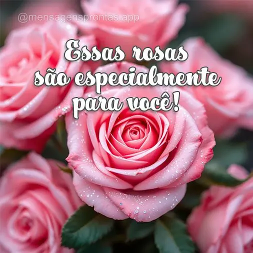 Essas rosas são especialmente para você!