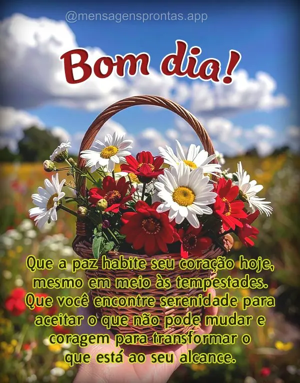 Que a paz habite seu coração hoje, mesmo em meio às tempestades. Que você encontre serenidade para aceitar o que não pode mudar e coragem para trans...