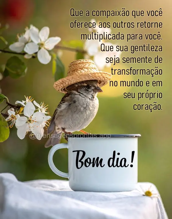 Que a compaixão que você oferece aos outros retorne multiplicada para você. Que sua gentileza seja semente de transformação no mundo e em seu própr...