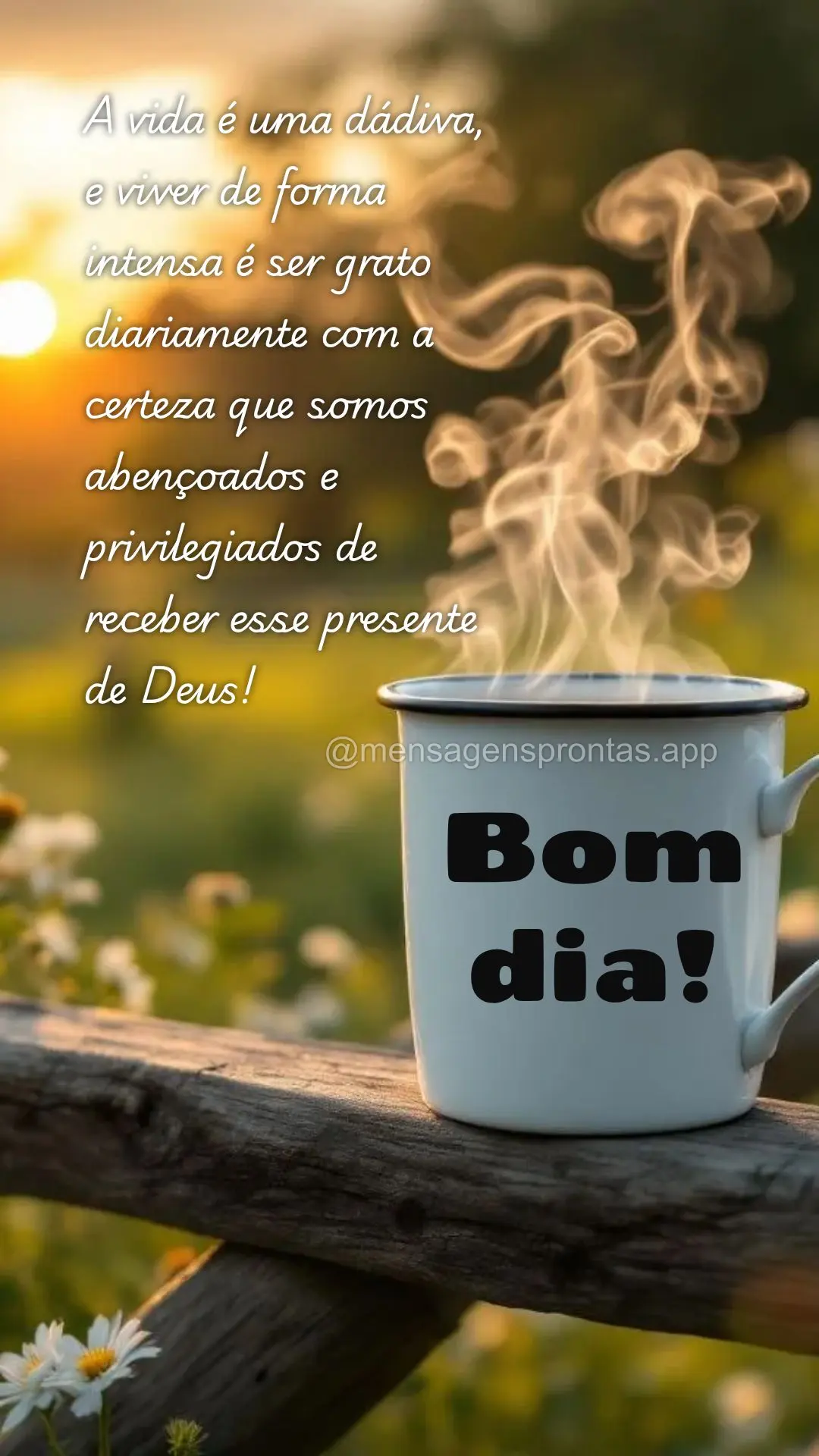 A vida é uma dádiva, e viver de forma intensa é ser grato diariamente com a certeza que somos abençoados e privilegiados de receber esse presente de ...