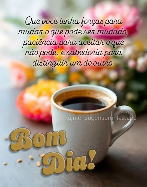 Que você tenha forças para mudar o que pode ser mudado, paciência para aceitar o que não pode, e sabedoria para distinguir um do outro. Bom dia!