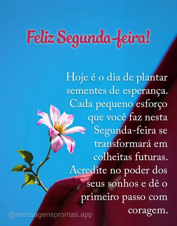 Hoje é o dia de plantar sementes de esperança. Cada pequeno esforço que você faz nesta Segunda-feira se transformará em colheitas futuras. Acredite ...
