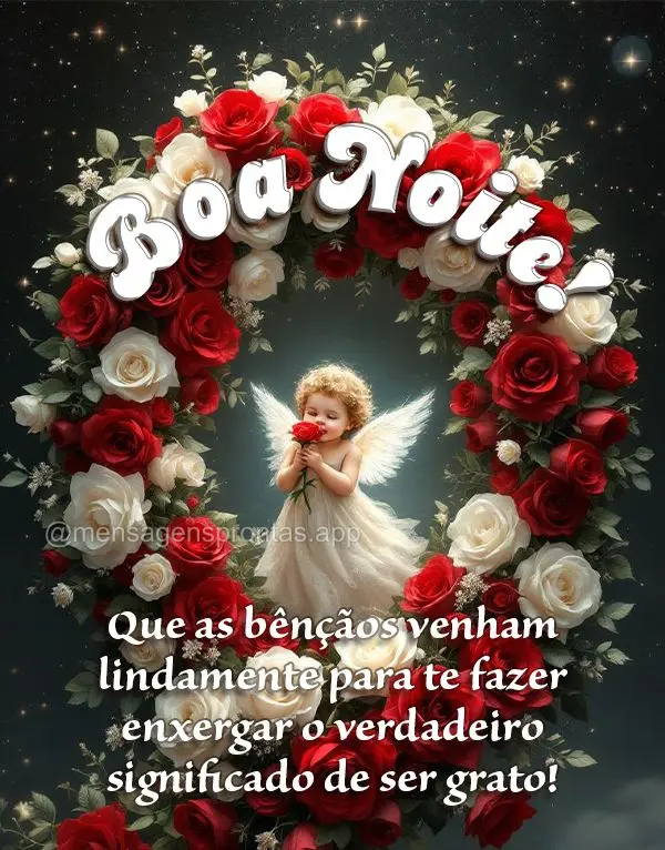 Que as bênçãos venham lindamente para te fazer enxergar o verdadeiro significado de ser grato! Boa noite!