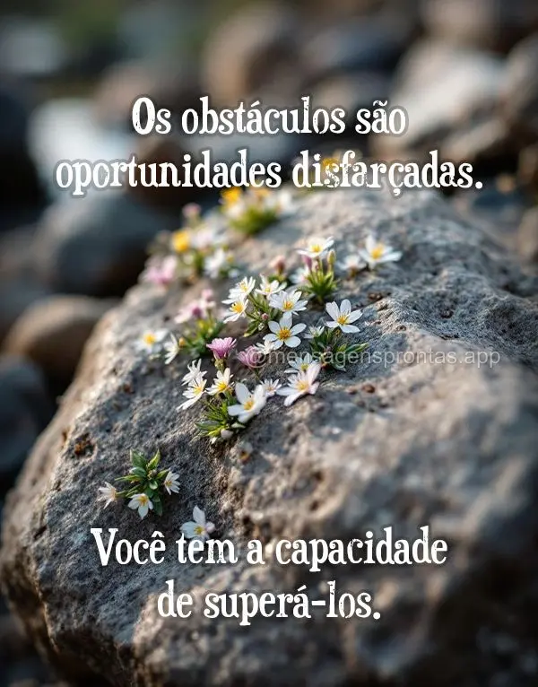 Os obstáculos são oportunidades disfarçadas. Você tem a capacidade de superá-los.