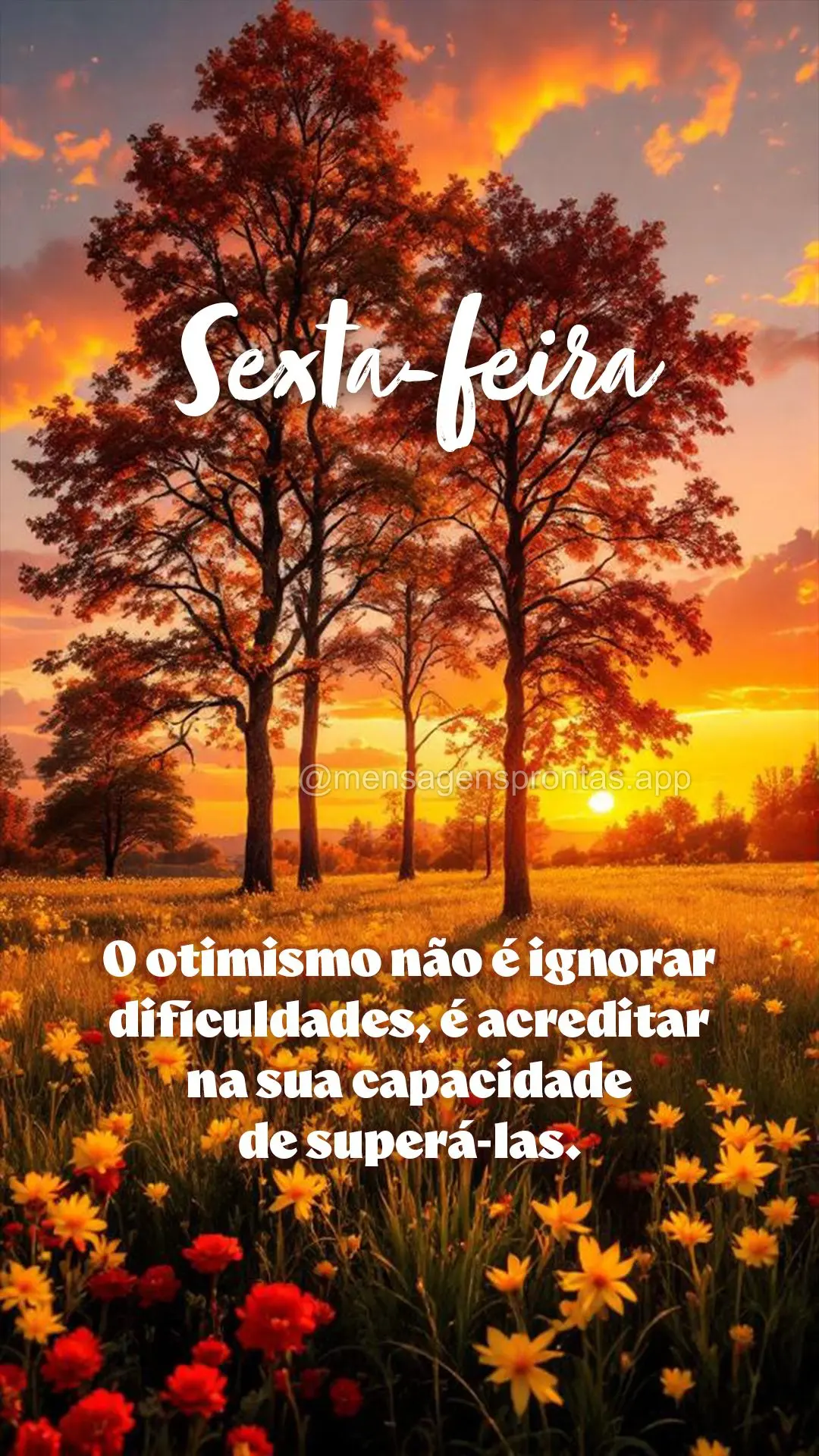 O otimismo não é ignorar dificuldades, é acreditar na sua capacidade de superá-las. Sexta-feira