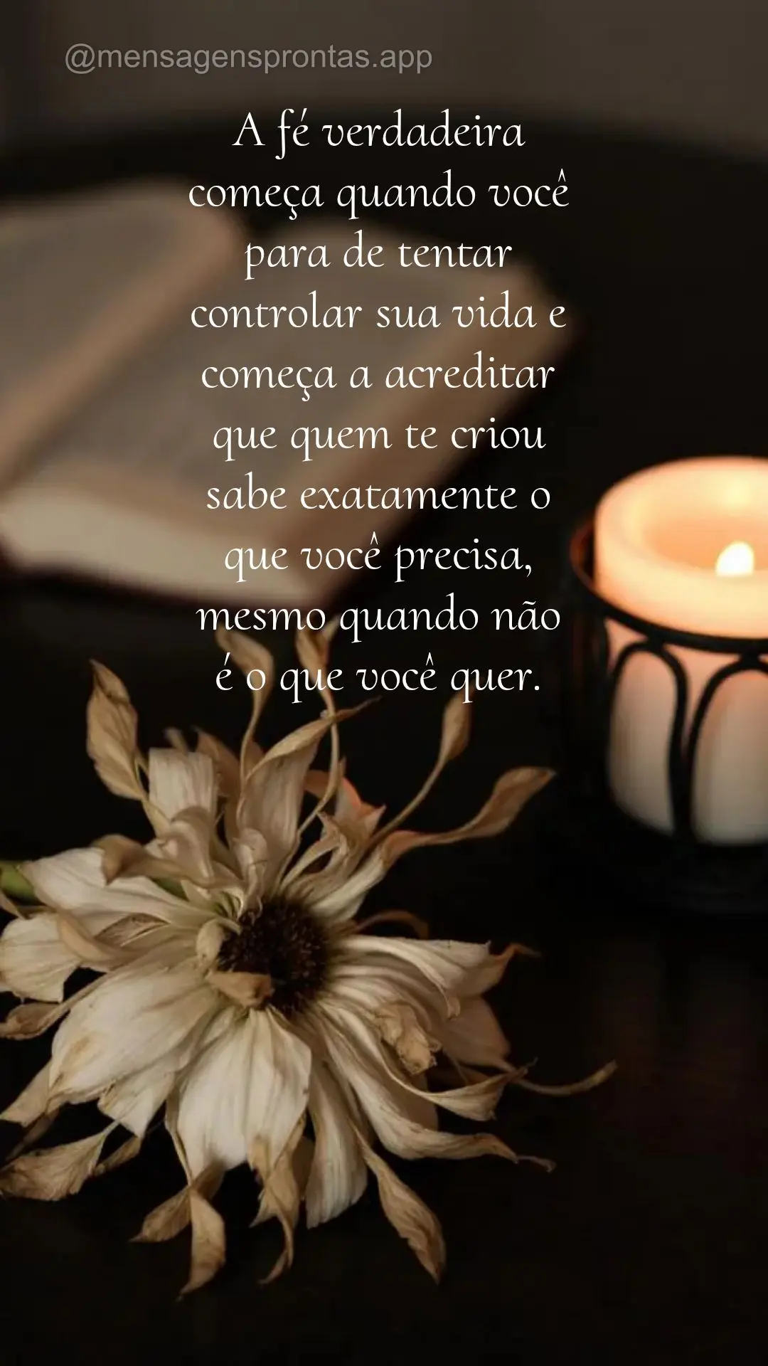 A fé verdadeira começa quando você para de tentar controlar sua vida e começa a acreditar que quem te criou sabe exatamente o que você precisa, mesm...