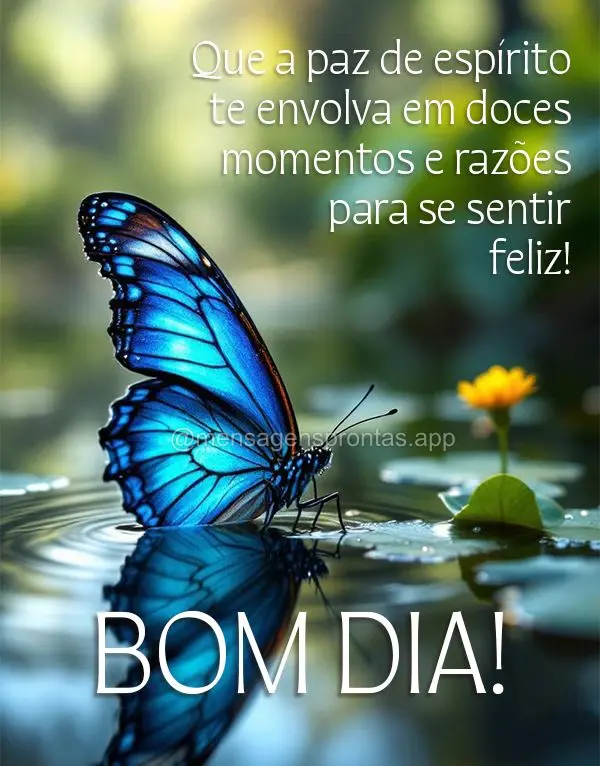 Que a paz de espírito te envolva em doces momentos e razões para se sentir feliz! Bom dia!