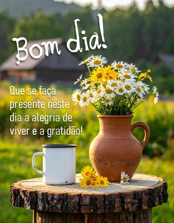Que se faça presente neste dia a alegria de viver e a gratidão! Bom dia!