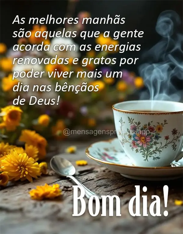 As melhores manhãs são aquelas que a gente acorda com as energias renovadas e gratos por poder viver mais um dia nas bênçãos de Deus! Bom dia!