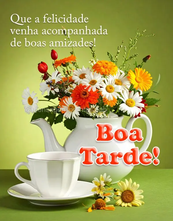 Que a felicidade venha acompanhada de boas amizades! Boa tarde!